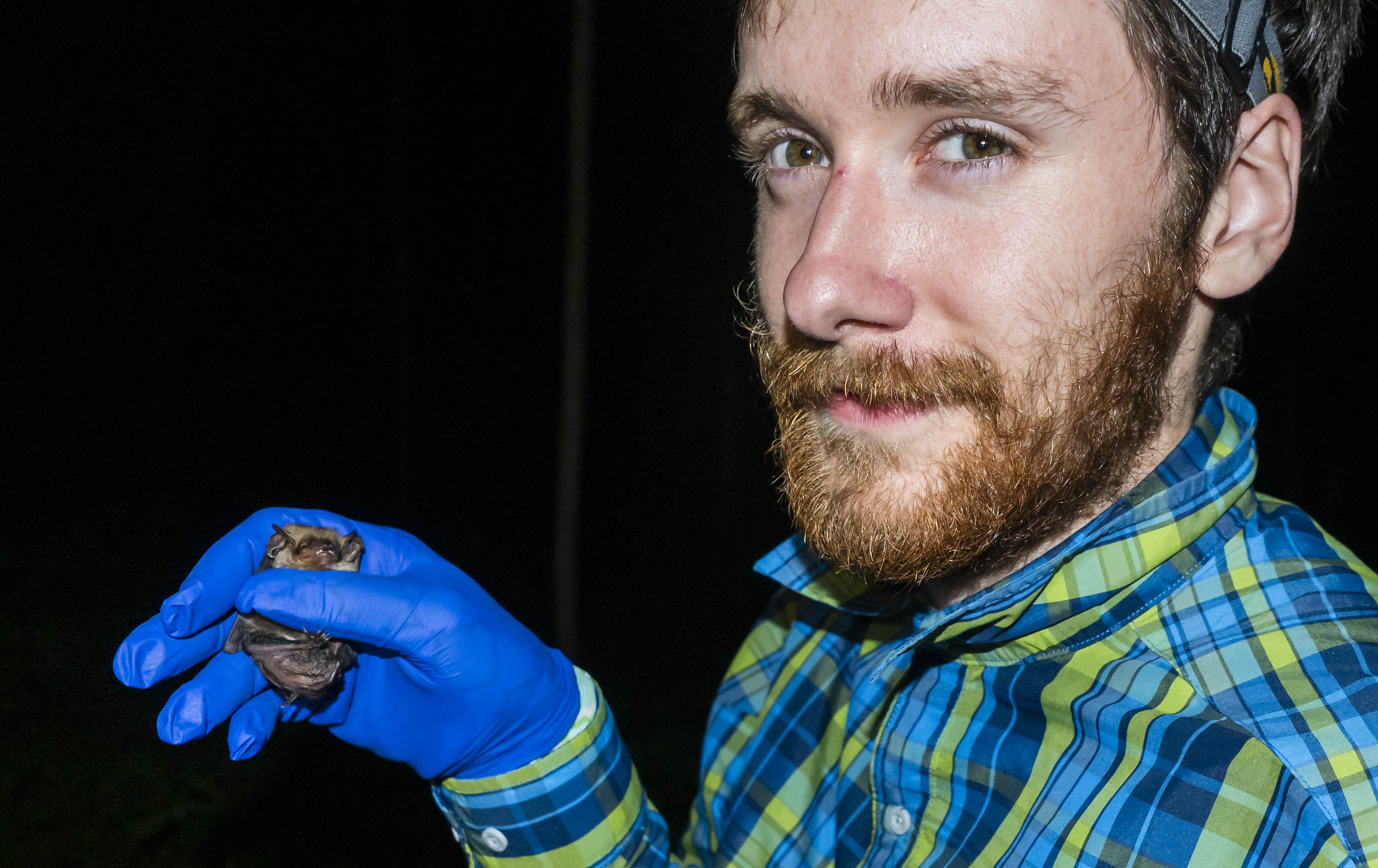 A self-portrait of the author holding a big brown bat